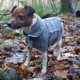 Drying Dog Coat (Henry Wag) - SnowPaw Store - Henry Wag - Active Dog Gear